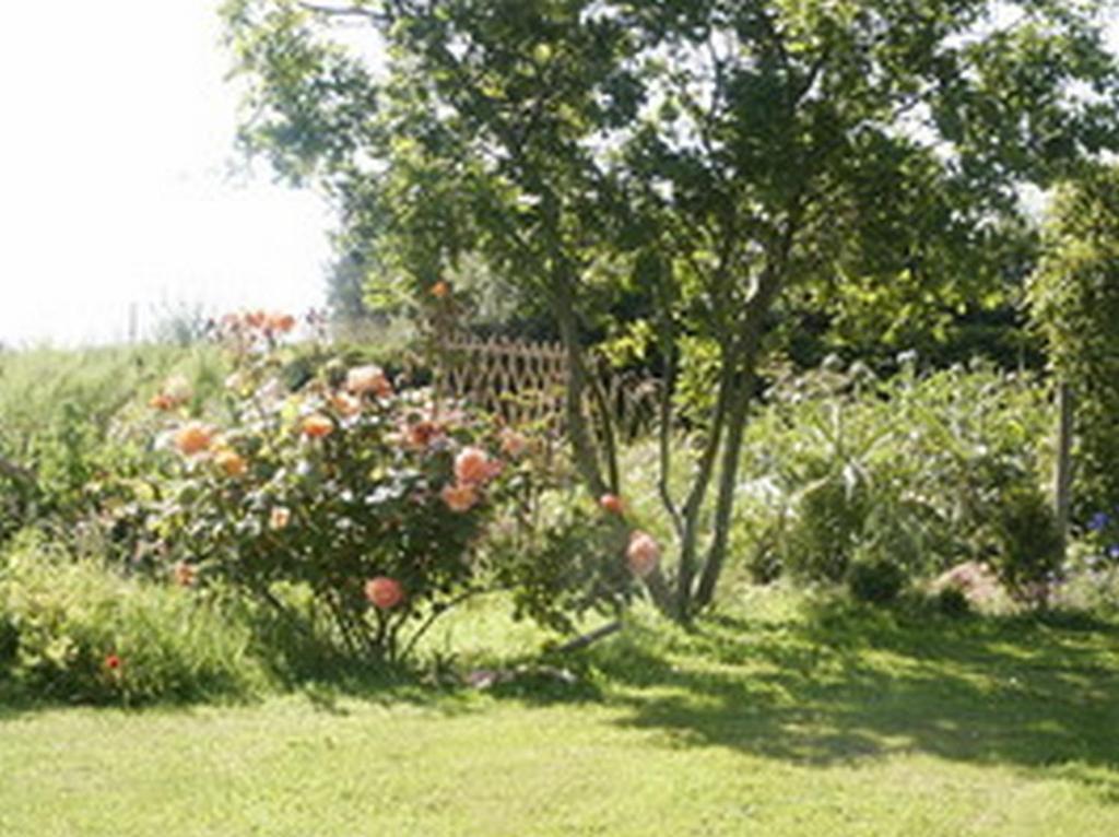 Plouguiel B&B Kerlilou מראה חיצוני תמונה